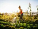 Fantastic Gardening
