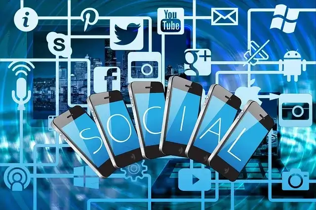 Social Media Algorithm Insights 2025