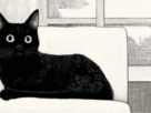 cat toilet training
